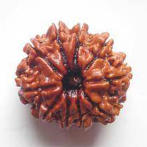 10 मुखी रुद्राक्ष पेंडेंट  के साथ – 10 Mukhi Rudraksha With Silver Cap Pendant