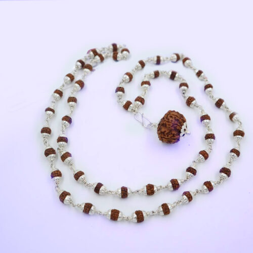 9 मुखी रुद्राक्ष ( माला के साथ ) – Silver Cap Rudraksha Mala With 9 Mukhi Rudraksha Pendant