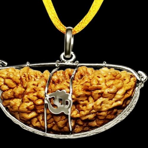 1 Mukhi Rudraksha With Silver Cap Pendant